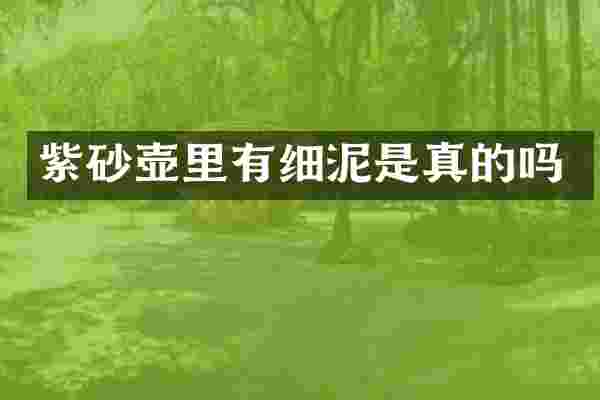 紫砂壶里有细泥是真的吗