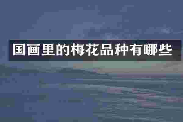 国画里的梅花品种有哪些