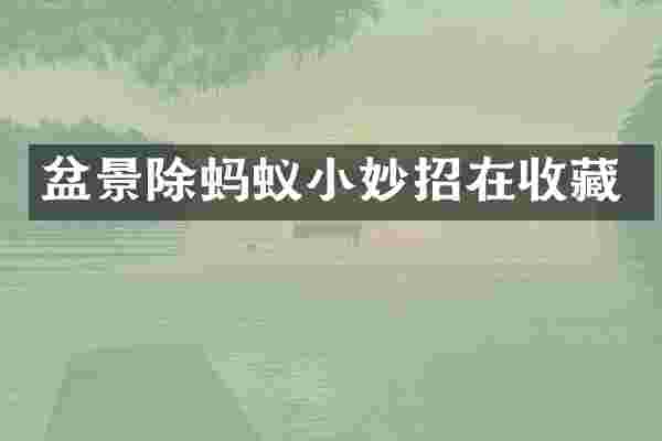 盆景除蚂蚁小妙招在收藏