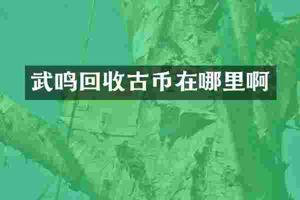 武鸣回收古币在哪里啊