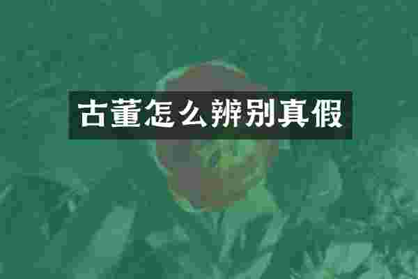 古董怎么辨别真假