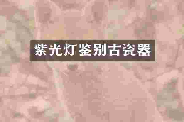 紫光灯鉴别古瓷器