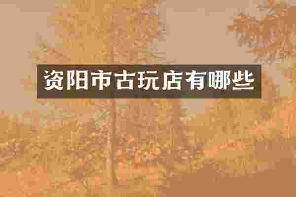资阳市古玩店有哪些