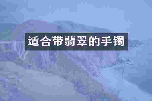 适合带翡翠的手镯