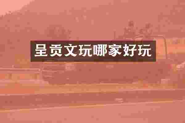 呈贡文玩哪家好玩