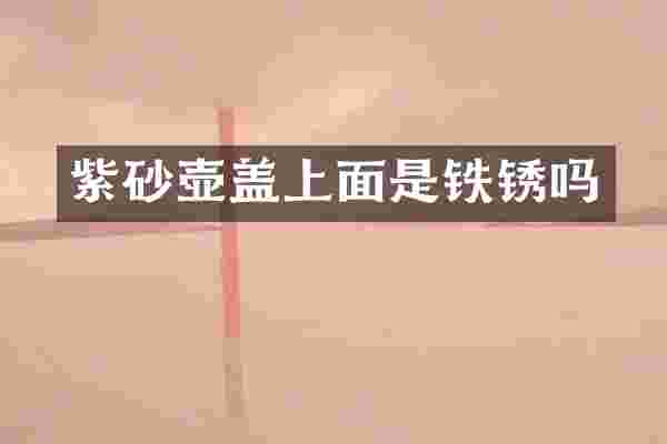 紫砂壶盖上面是铁锈吗
