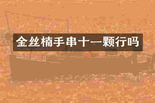 金丝楠手串十一颗行吗