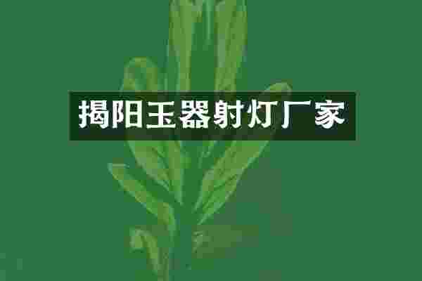 揭阳玉器射灯厂家