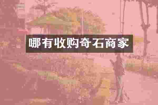 哪有收购奇石商家
