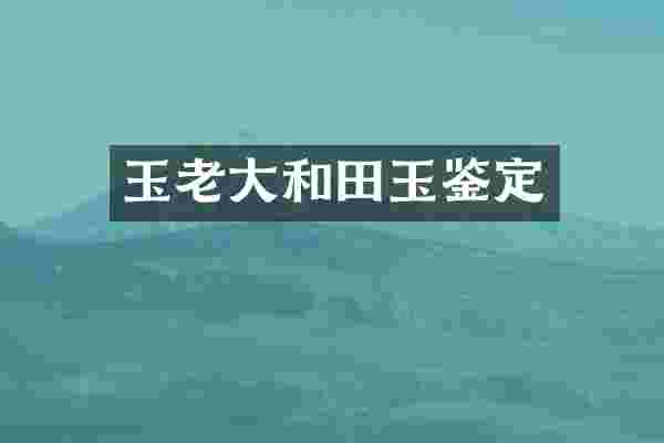 玉老大和田玉鉴定