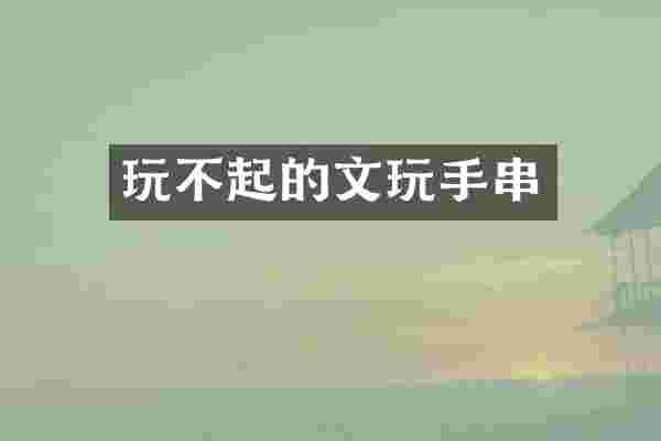 玩不起的文玩手串