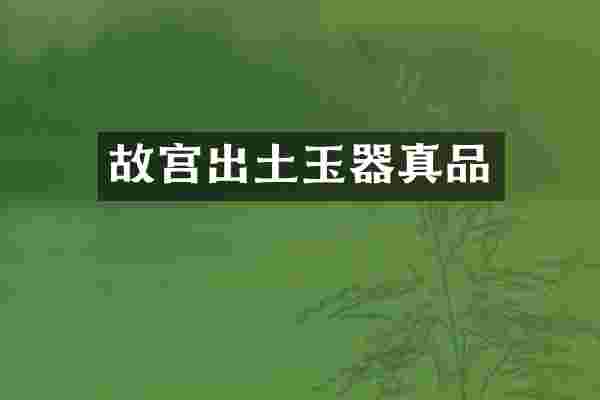 故宫出土玉器真品
