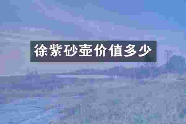 徐紫砂壶价值多少