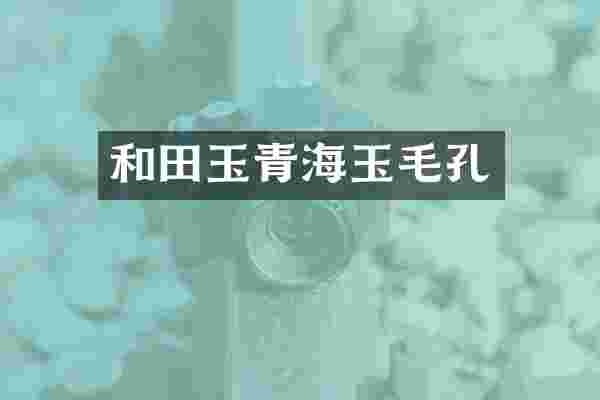 和田玉青海玉毛孔
