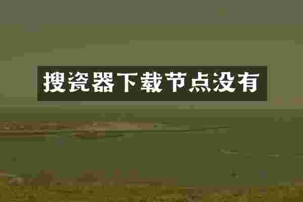 搜瓷器下载节点没有