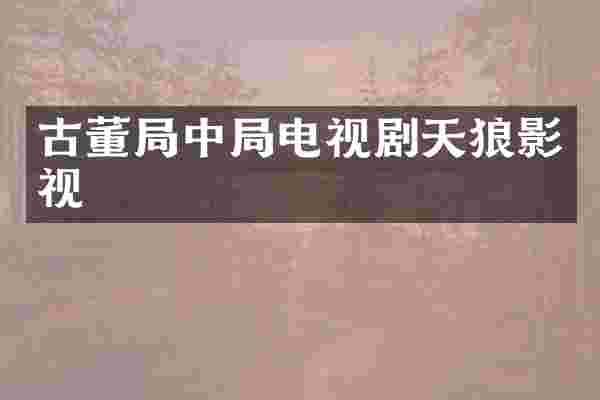 古董局中局电视剧天狼影视