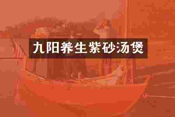 九阳养生紫砂汤煲