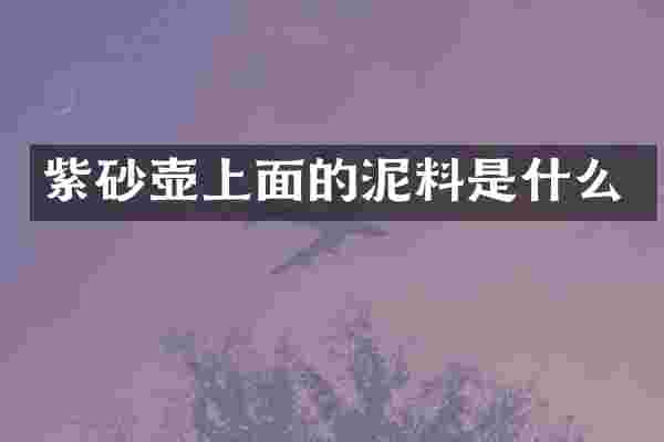 紫砂壶上面的泥料是什么