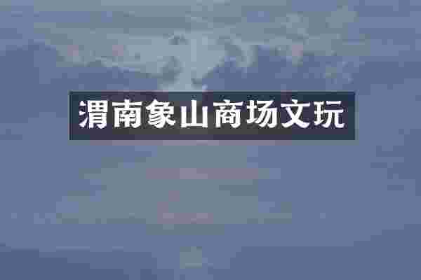 渭南象山商场文玩