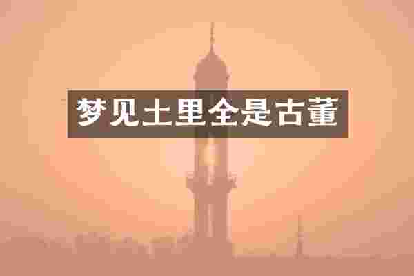 梦见土里全是古董