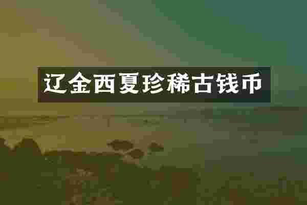 辽金西夏珍稀古钱币