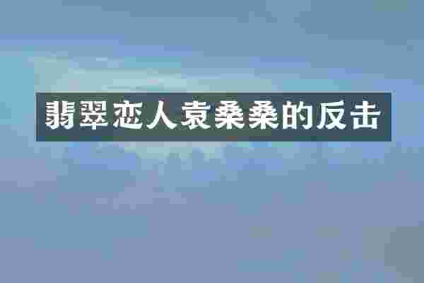 翡翠恋人袁桑桑的反击
