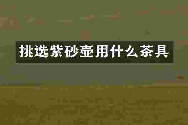 挑选紫砂壶用什么茶具