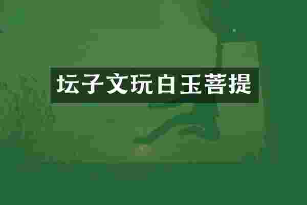 坛子文玩白玉菩提