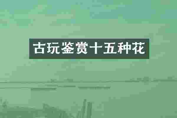 古玩鉴赏十五种花