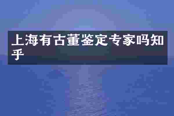 上海有古董鉴定专家吗知乎