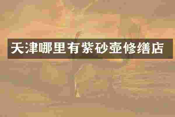 天津哪里有紫砂壶修缮店