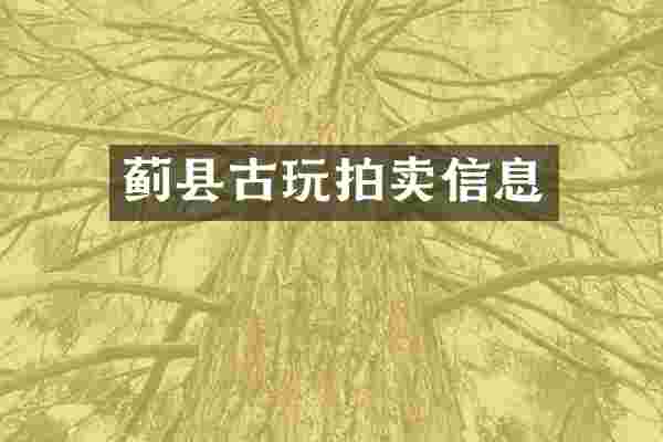 蓟县古玩拍卖信息
