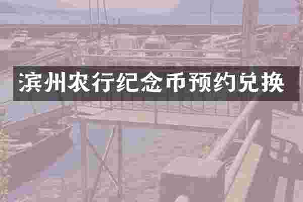 滨州农行纪念币预约兑换