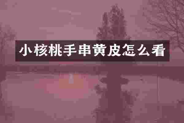 小核桃手串黄皮怎么看