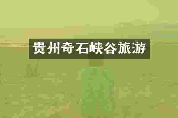 贵州奇石峡谷旅游