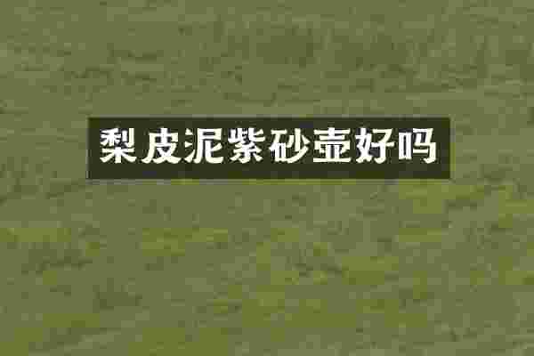 梨皮泥紫砂壶好吗