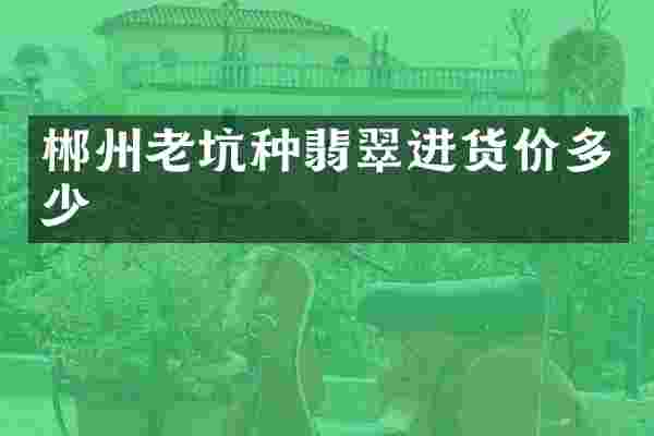 郴州老坑种翡翠进货价多少
