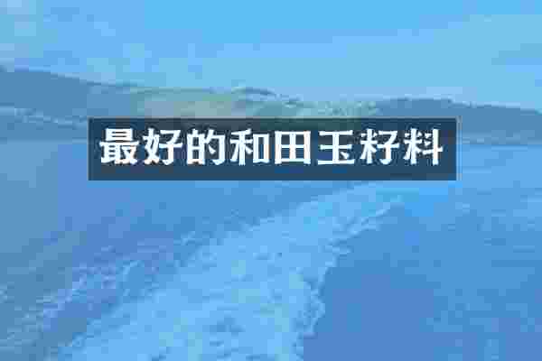 最好的和田玉籽料