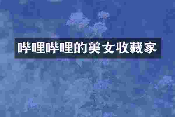 哔哩哔哩的收藏家