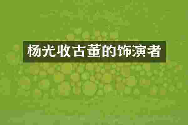 杨光收古董的饰演者