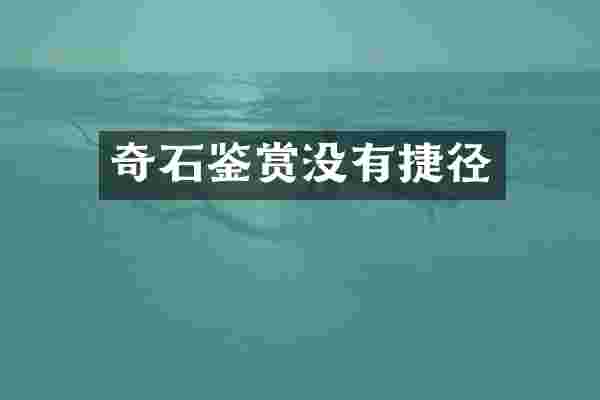 奇石鉴赏没有捷径