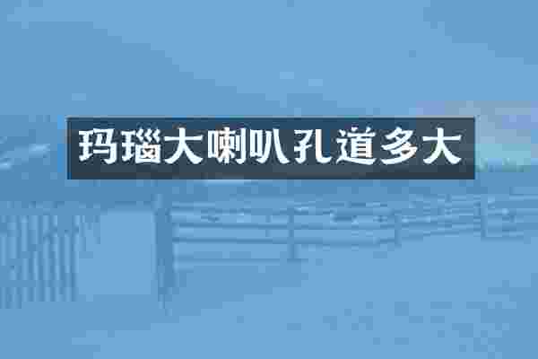 玛瑙大喇叭孔道多大