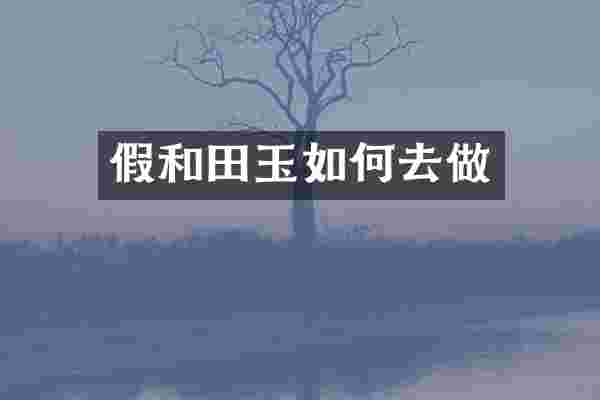 假和田玉如何去做