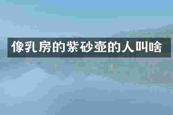 像的紫砂壶的人叫啥