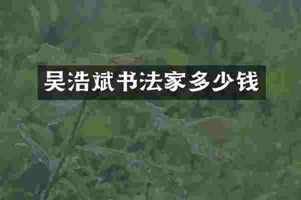 吴浩斌书法家多少钱