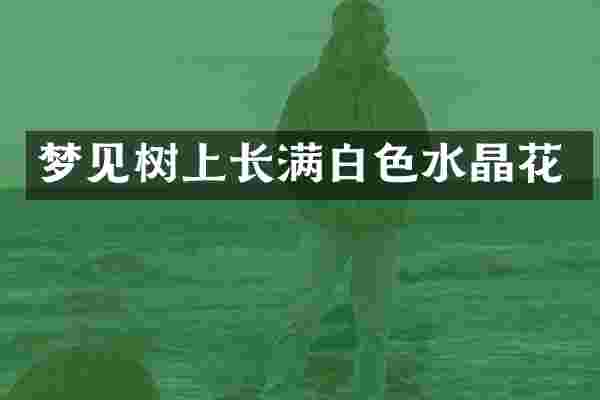 梦见树上长满白色水晶花