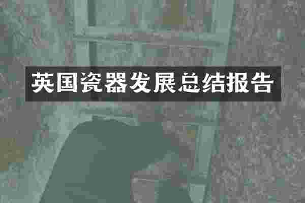 英国瓷器发展总结报告