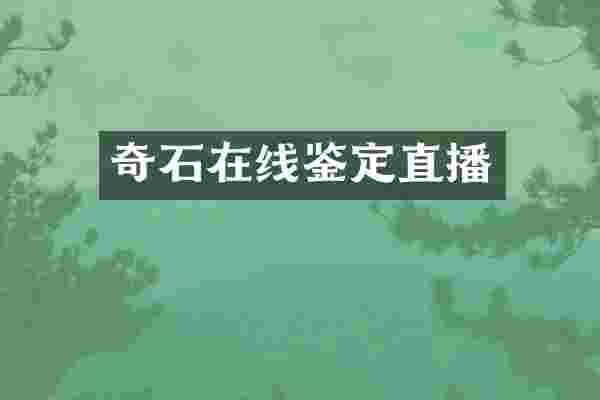 奇石在线鉴定直播