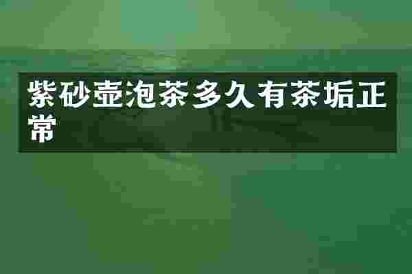 紫砂壶泡茶多久有茶垢正常