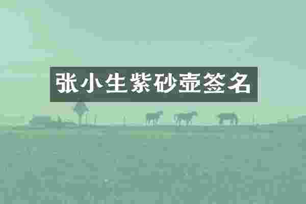 张小生紫砂壶签名